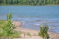 plage pour les animaux 